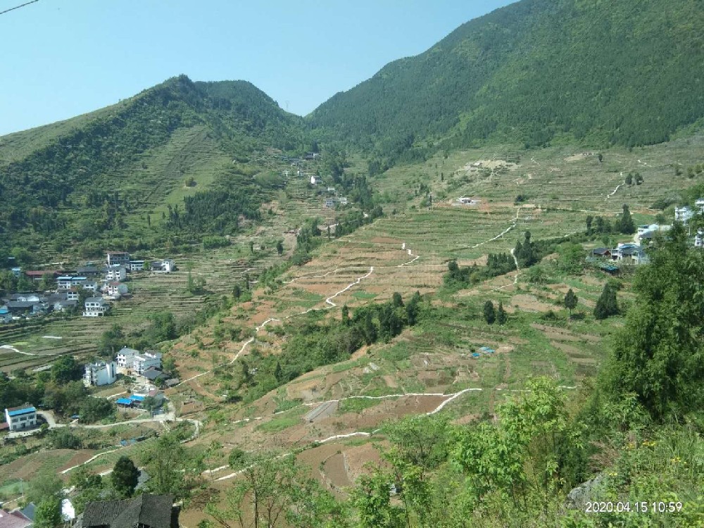 重庆丰都县1000亩物联网雷竹喷灌滴灌项目