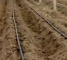 应用视频