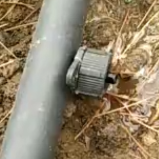 应用视频