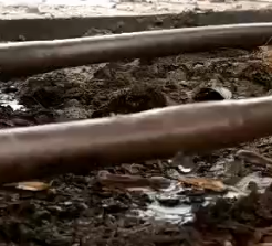 应用视频