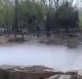 应用视频
