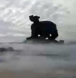 应用视频